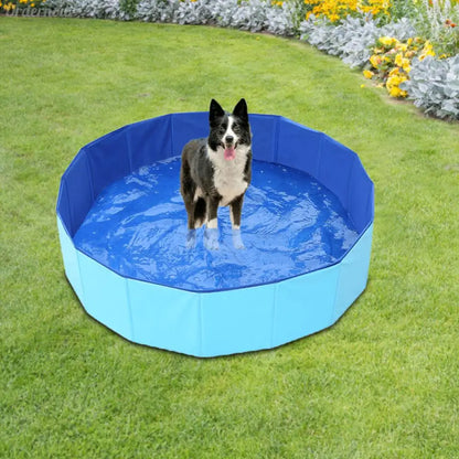 Dog pool