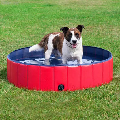 Dog pool